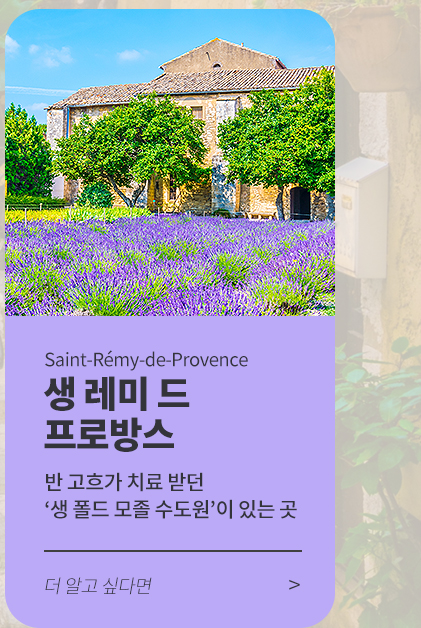 생 레미 드 프로방스
