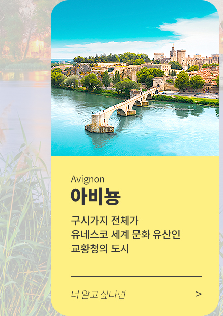 아비뇽