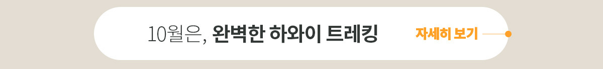 하와이