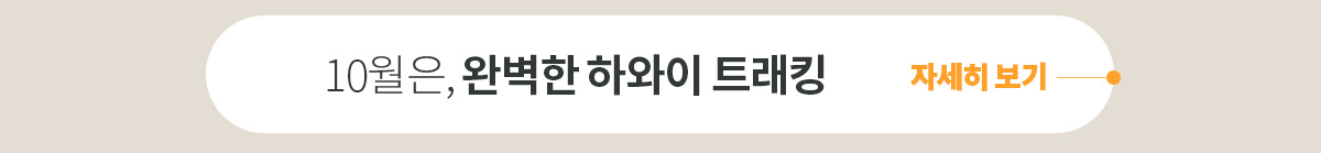 하와이